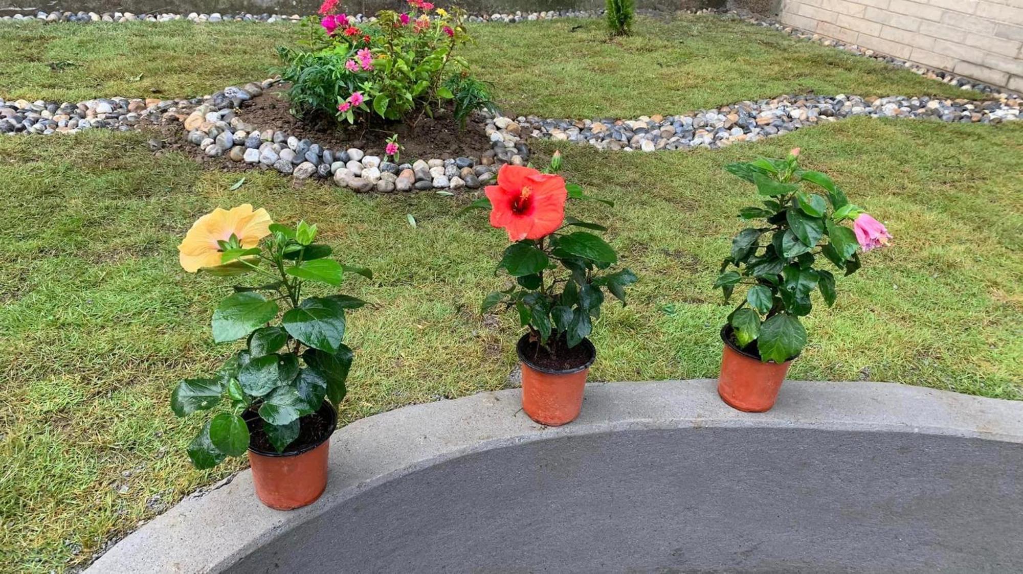 Rj-Residence Pokhara Kültér fotó